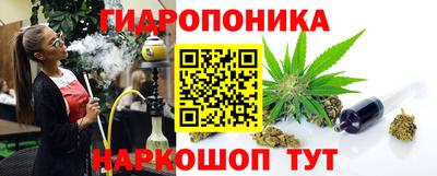 крисы Будённовск