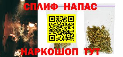 крисы Будённовск