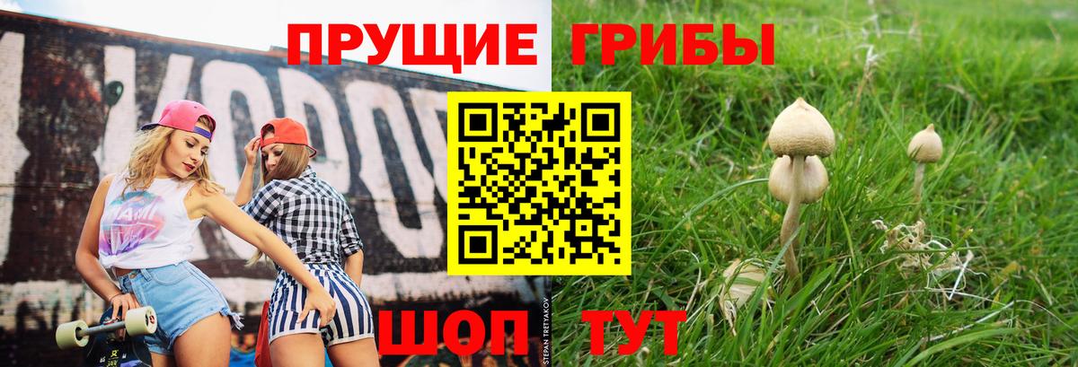 Нарткала  Псилоцибиновые грибы Psilocybine cubensis  Вход с VPN 